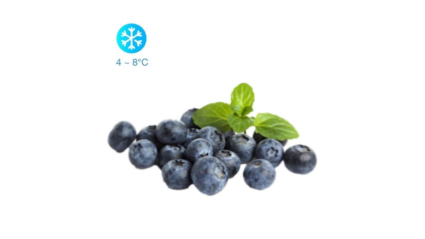 Jumbo Blueberries 125g