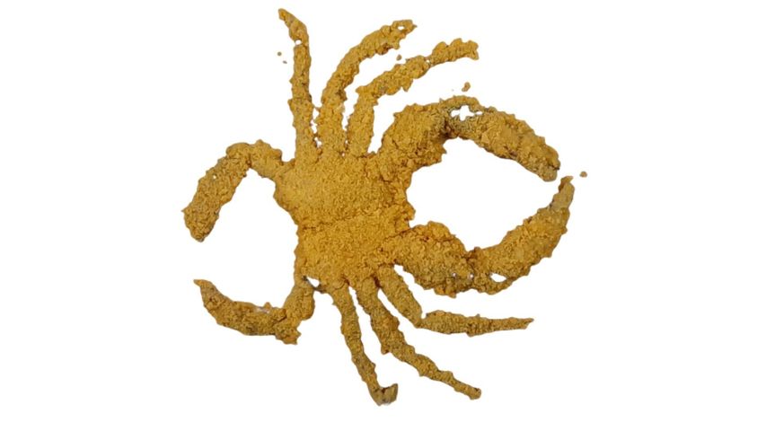 Breaded Soft Shell Crabprocessed 500g