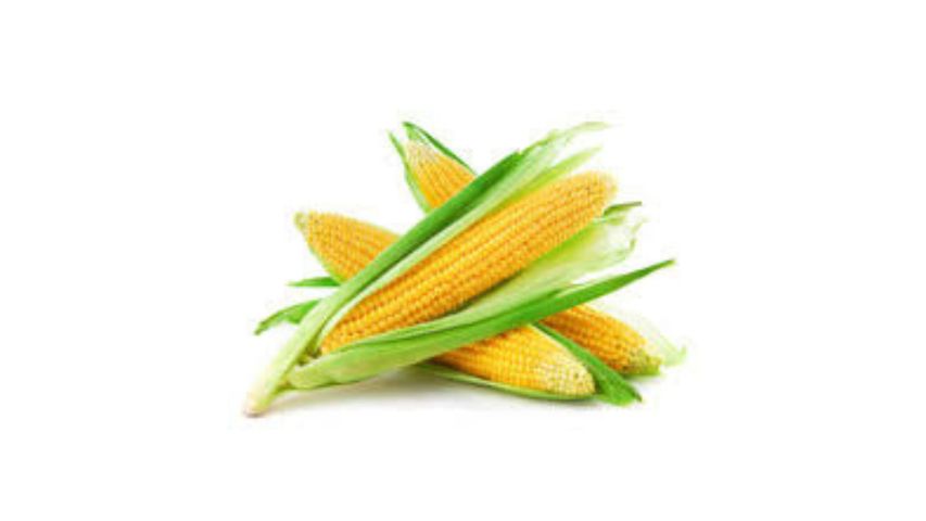 brightfarms Fresh Sweet Corn Whole Imported 300g ±10g