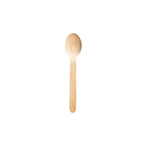 Pisces Biodegradable 160 mm Spoon 6 Pieces