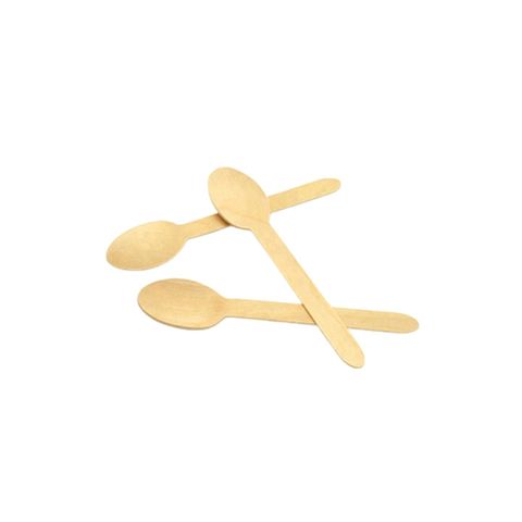 Pisces Biodegradable 160 mm Spoon 6 Pieces