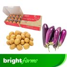 brightfarms Fresh Veg & Egg Combo