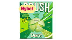 Dent Crush Minty Lime | 25g