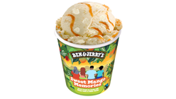 Ben & Jerry's Sweet Mango Memories | 465ml