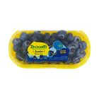 China Driscoll's Jumbo Blueberries (1 pack approx. 200g)