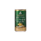Tominaga Kobe Kyoryuchi Ginger Ale 185ml