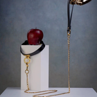 Upko Leather Leash (Leather Cosplay Choker Should Be Purchased Separately) 1 Piece
