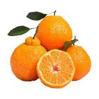 China - Chunjian Mandarin 1 pc Approx. 200g