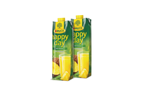 2x Rauch Happy Day 100% Pineapple Juice from Concentrate 1 l