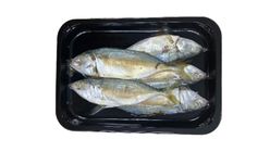 Kingfisher Frozen Kembung Rebus 300g