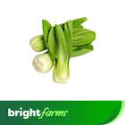 brightfarms Sio Pak Choy 250g