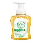Watsons Protecting Pine Anti-bacterial Foaming Hand Wash 300ml - 1008517