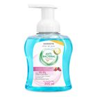 Watsons Brightening Wild Berry Anti-bacterial Foaming Hand Wash 300ml - 1008524