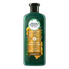 Herbal Essences Aloe + Manuka Honey Shampoo 400ml - 1013298