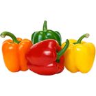 Palengke Fresh Bellpepper 120g-170g