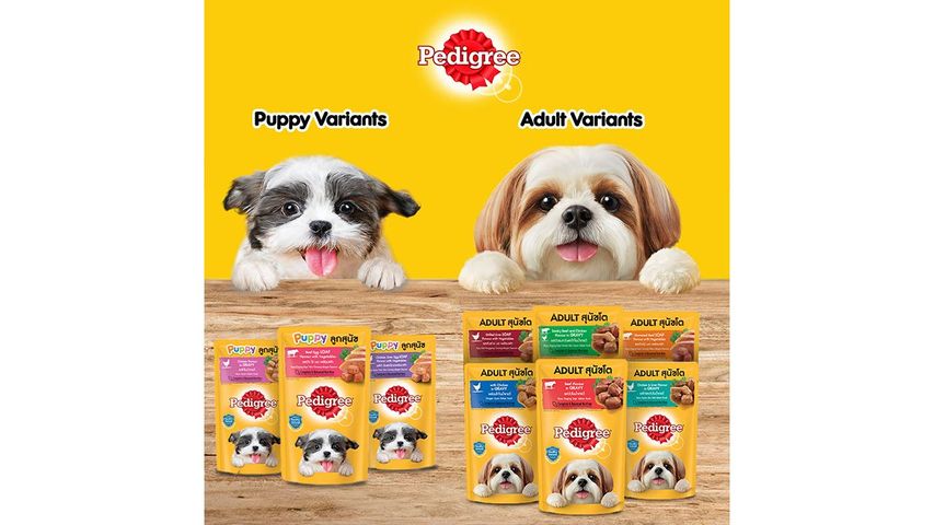 Pedigree Pouch Beef Flavour in Gravy 130g delivery in the