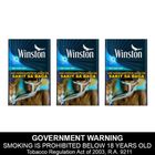 Winston Mint Burst Max 3 x 20 Pieces