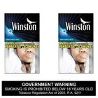 Winston Mint Burst Max 2 x 20 Pieces