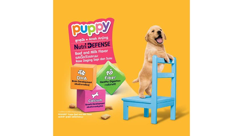 Nutri Defense Pedigree Baby Food Pedigree Puppy Dog Food At Lowest