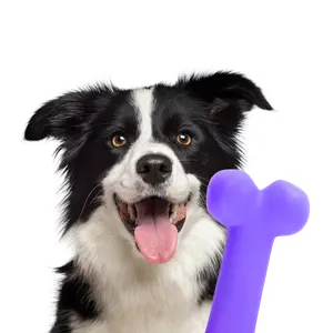 Dogs Essentials category