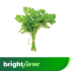 brightfarms Green Coriander 100g