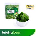 brightfarms Baby Spinach 100g