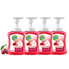 [Bundle of 4] Dettol Anti-Bacterial Foaming Hand Wash Rose Cherry 250ml