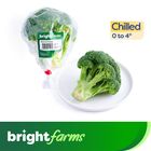 brightfarms Australia Broccoli 1 Piece