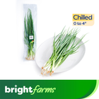 brightfarms Spring Onion 100g