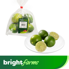 brightfarms Seedless Lime 4 Pieces