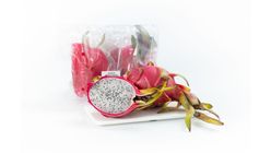 White Flesh Dragon Fruit 2pcs