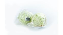 Springfresh Beijing Cabbage 800g