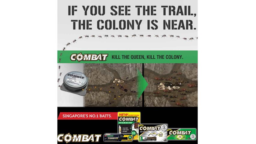 Combat Ant-Rid Killing Bait Strips 10g, Delivery Near You