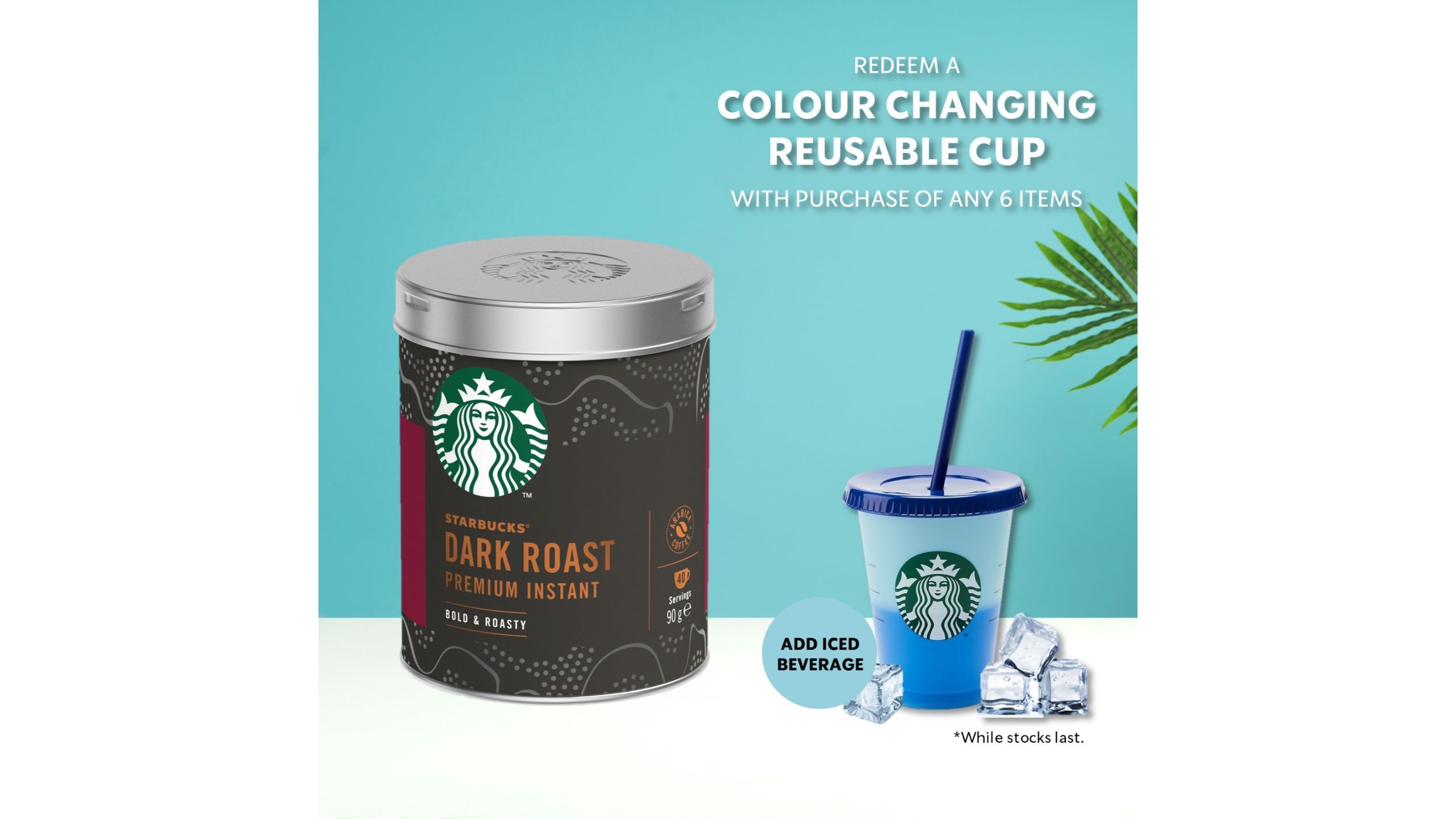 dark roast premium instant