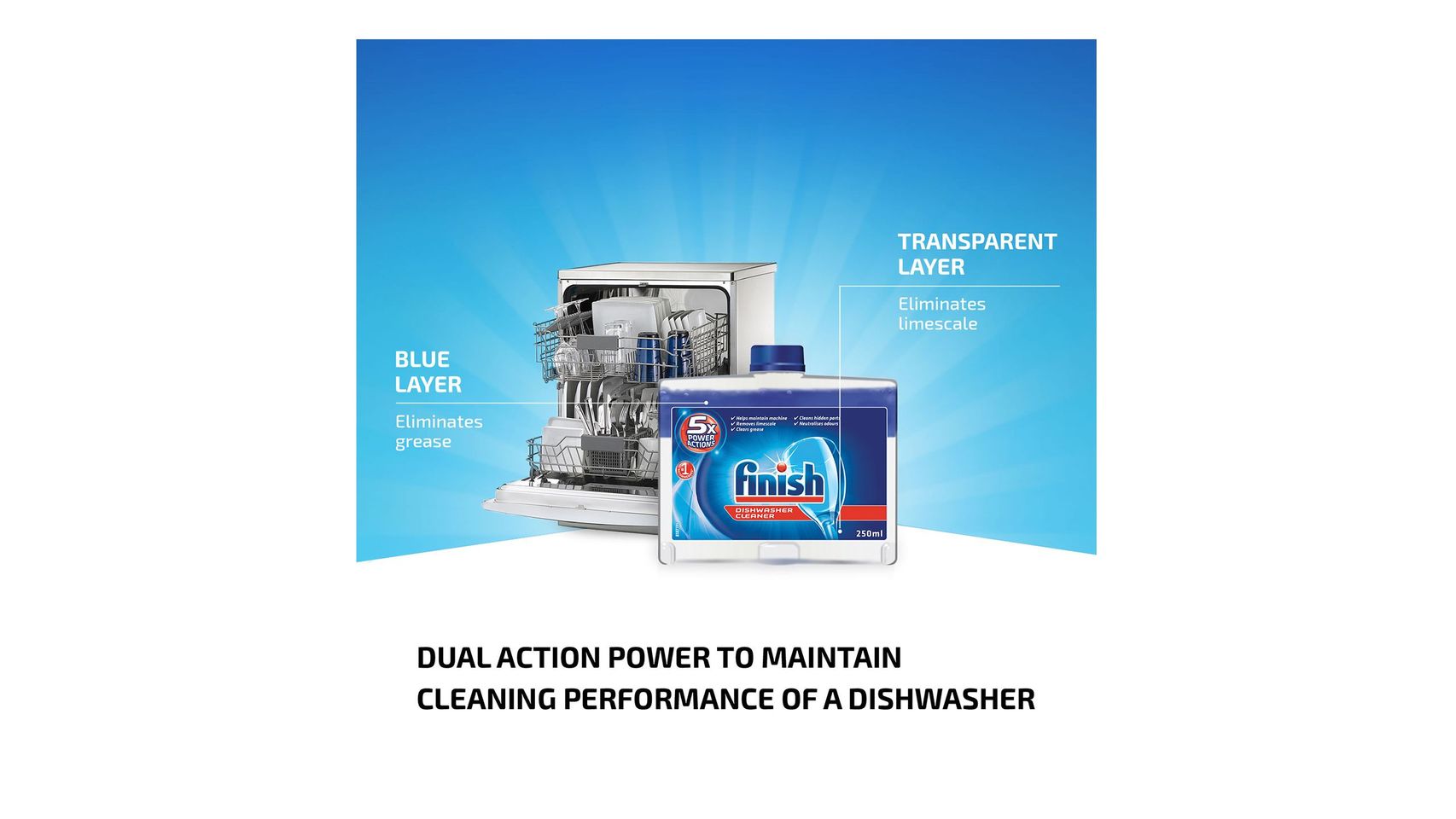 Buy Finish Machine Dishwasher Cleaner Liquid 250ml from pandamart
