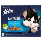 FELIX Fantastic selection with salmon, plaice, tuna, cod | 12 x 85 g