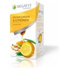 Megafyt Ovocný Zázvor s medem a citrónem 20x2g