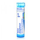 Kalium Phosphoricum 9CH gra.4g