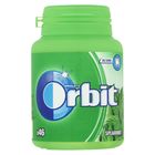 Orbit Chewing gum spearmint can | 64 g