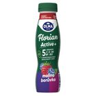 Olma Florian Active+ malina borůvka | 320 g