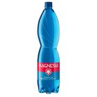 Magnesia Still Natural Mineral Water with Magnesium | 1.5 l