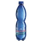 Magnesia jemně perlivá voda | 500 ml