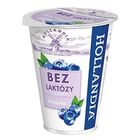 Hollandia Jogurt bez laktózy borůvka | 180 g