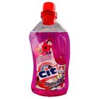 Cit Cleaning Agent | 1 l