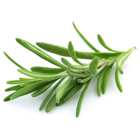 Rosemary | 20 g