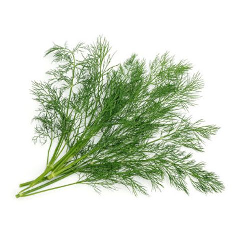 Dill | 20 g