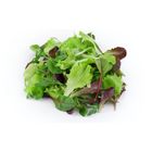 Mesclun salátový mix | 125 g