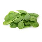 Baby Spinach Salad | 125 g