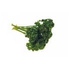 Parsley Curly | 20 g