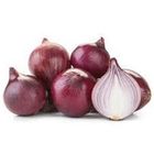 Red Onion in Net | 1 kg